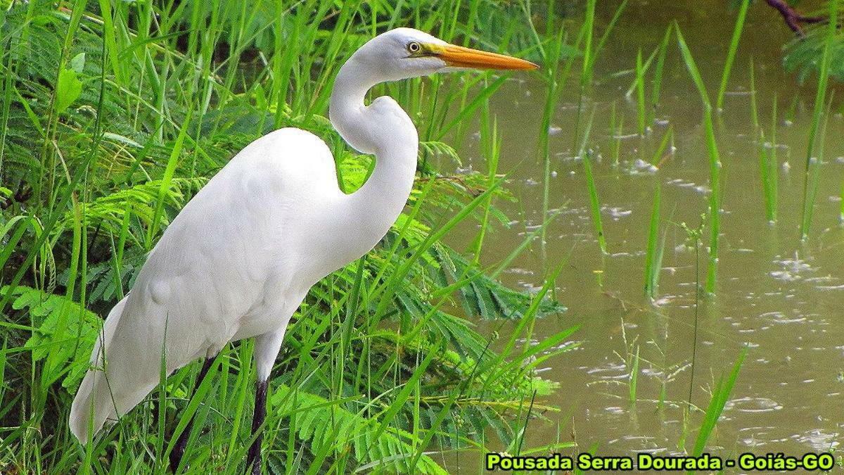 Pousada Serra Dourada Goiás Exteriör bild
